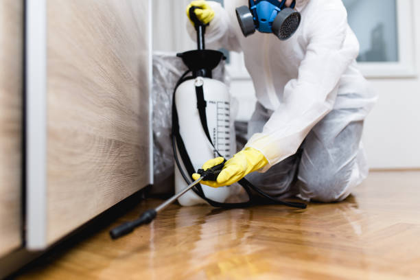 Reliable Clayton, OH Pest Control Solutions