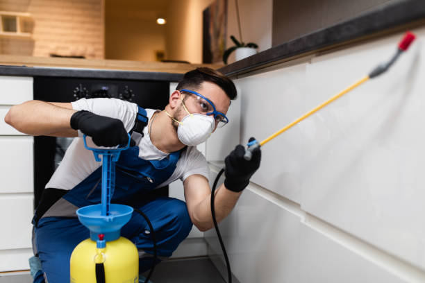 Best Flea Control Services  in Clayton, OH