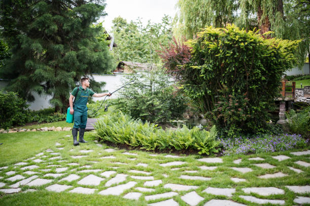 Best Pest Removal Services  in Clayton, OH