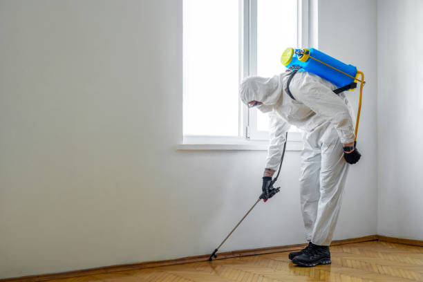 Best Residential Pest Control  in Clayton, OH