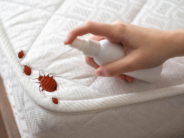 Best Pest Removal Services  in Clayton, OH