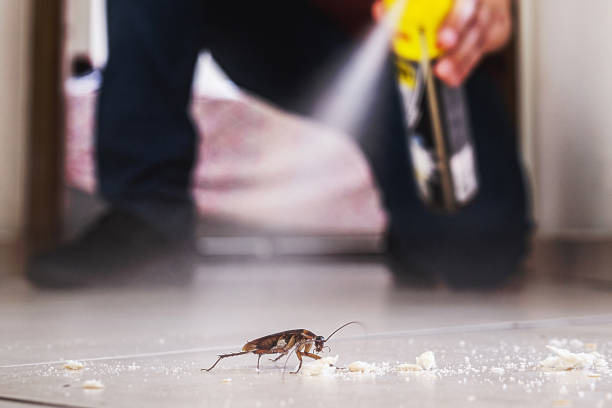 Best Local Pest Control Services  in Clayton, OH