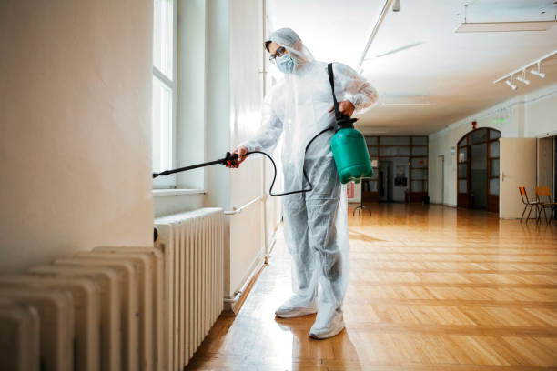 Wasp Removal Services in Clayton, OH