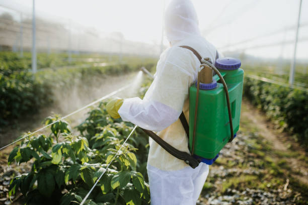 Best Emergency Pest Control  in Clayton, OH